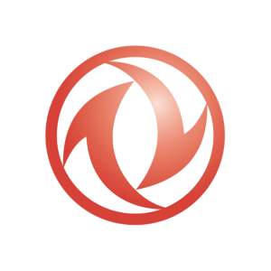 دیسک و صفحه دانگ فنگ (Dong Feng)