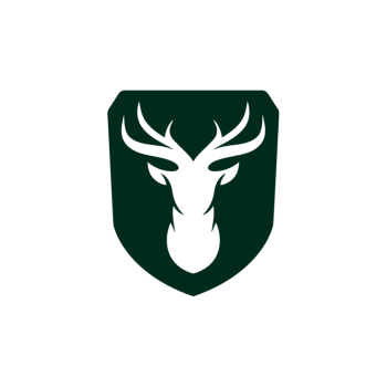 دیسک و صفحه لاماری (LAMARI)