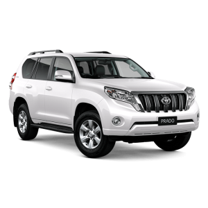 دیسک و صفحه پرادو