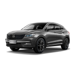 دیسک و صفحه دیگنیتی DIGNITY